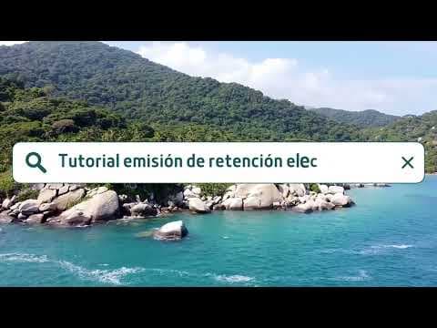 Video 3