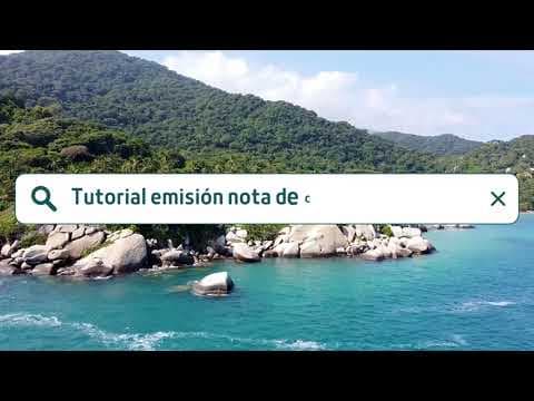 Video 2